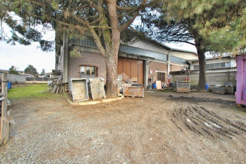 immagine annuncio 4 di 15