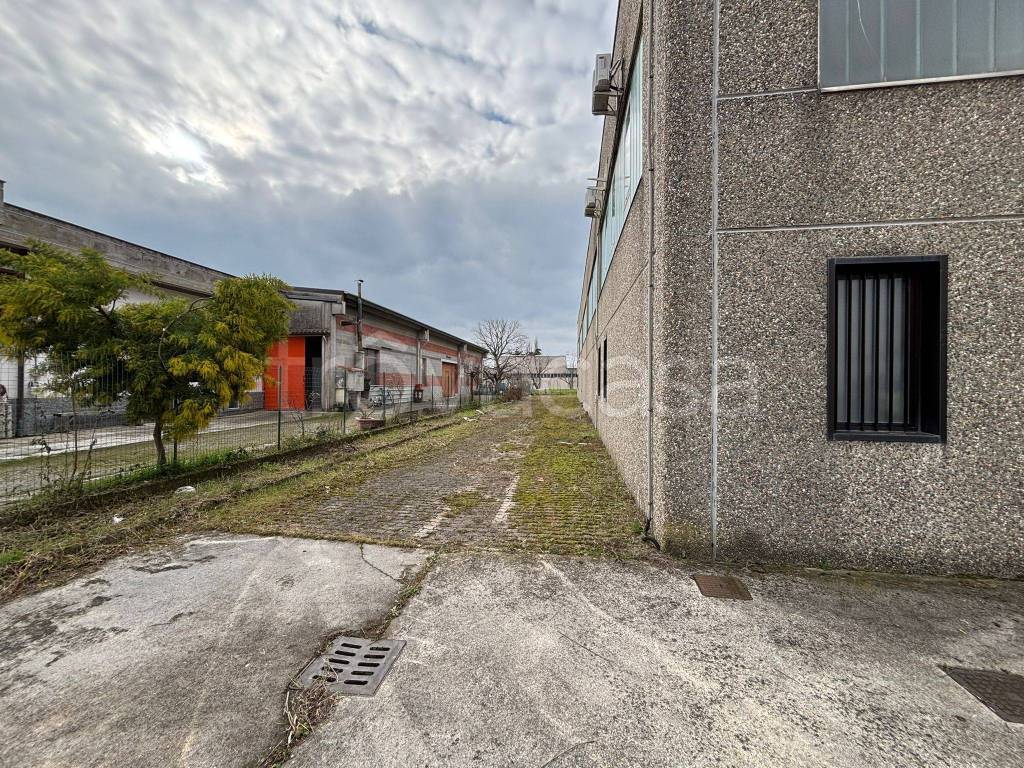 immagine annuncio 6 di 15