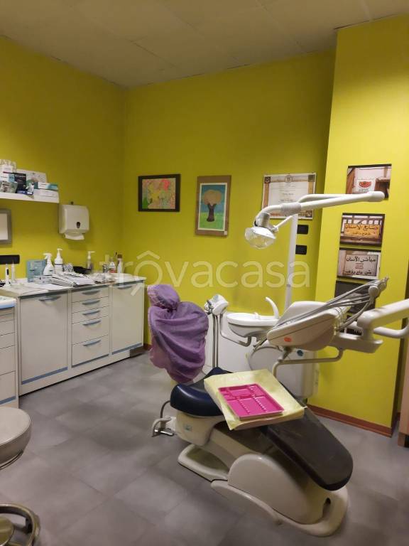 immagine annuncio 5 di 11