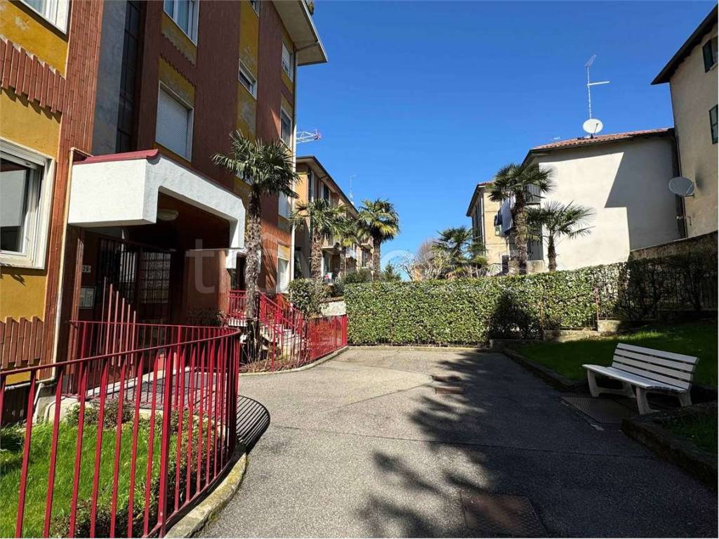 immagine annuncio 5 di 15