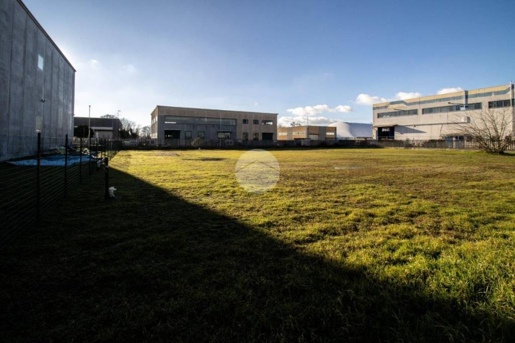 immagine annuncio 9 di 14