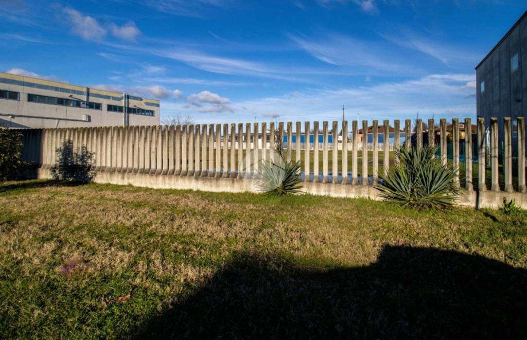 immagine annuncio 12 di 14