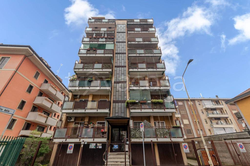 immagine annuncio 1 di 15