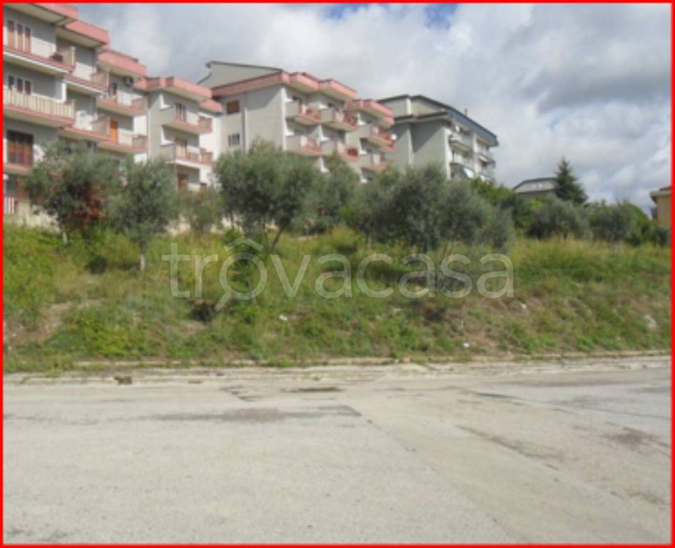 immagine annuncio 2 di 12