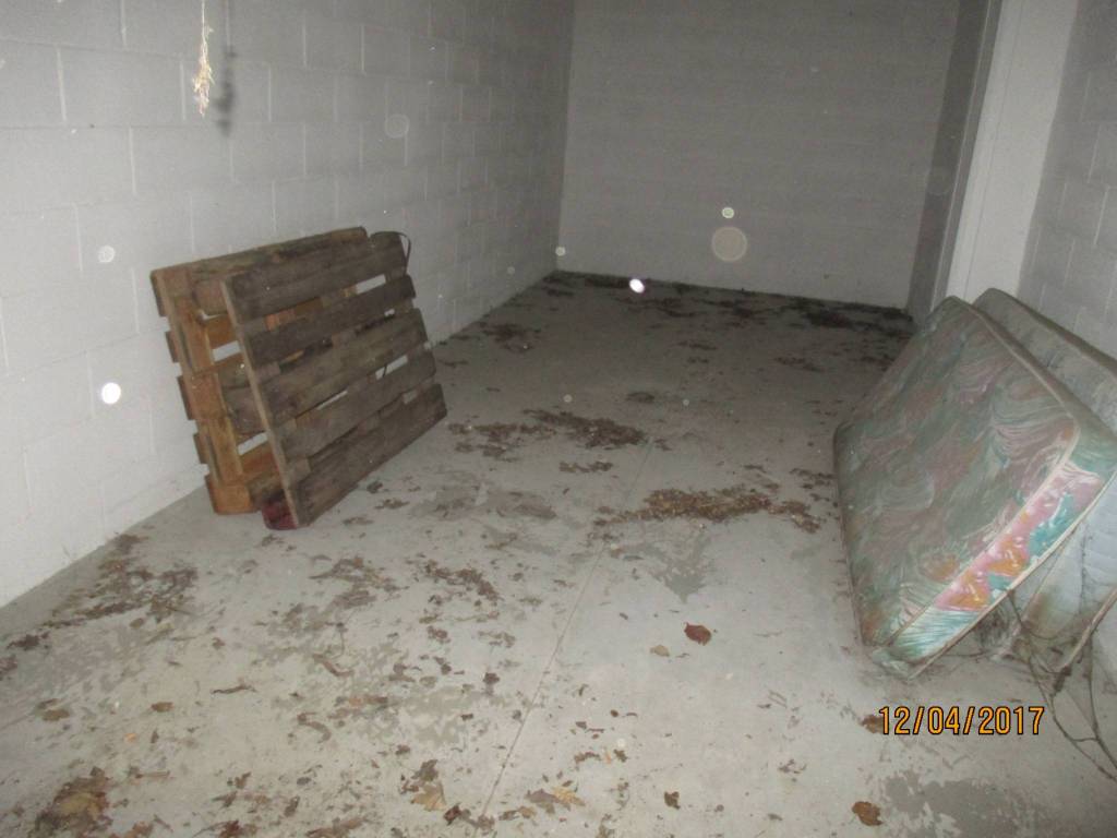 immagine annuncio 11 di 14