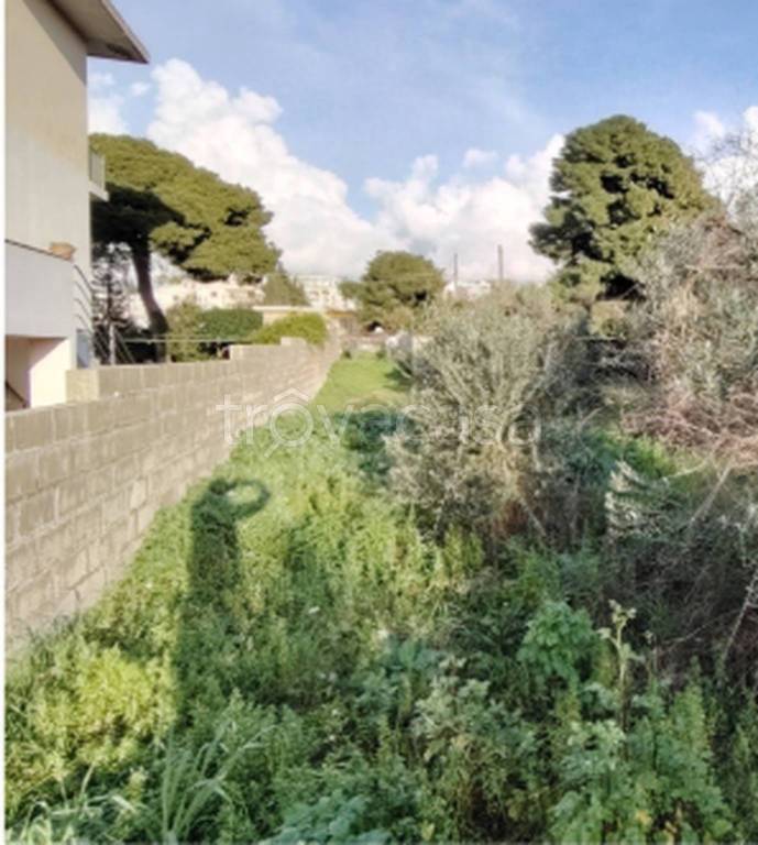 immagine annuncio 6 di 11