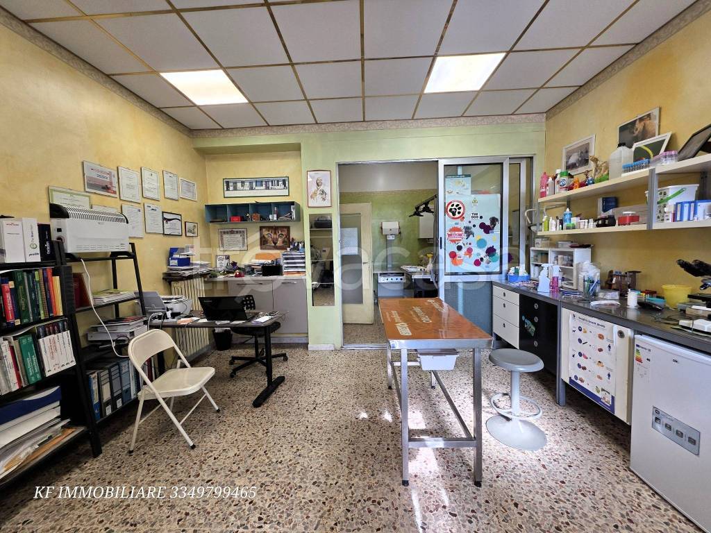 immagine annuncio 7 di 15