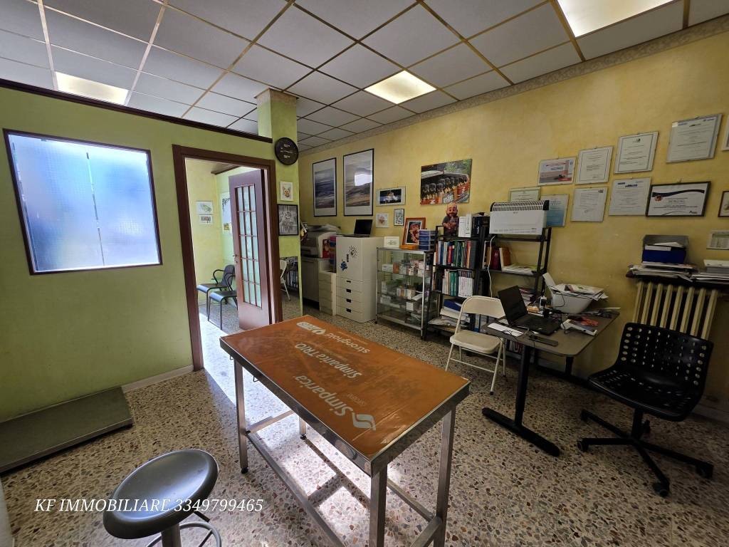 immagine annuncio 12 di 15