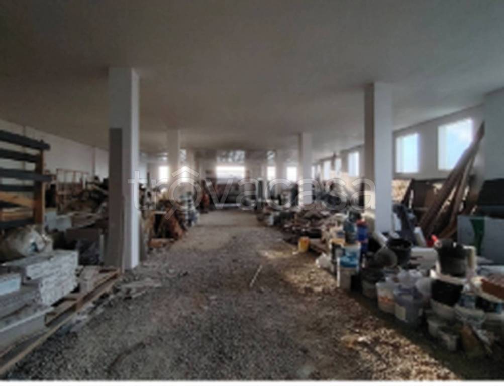 immagine annuncio 6 di 11