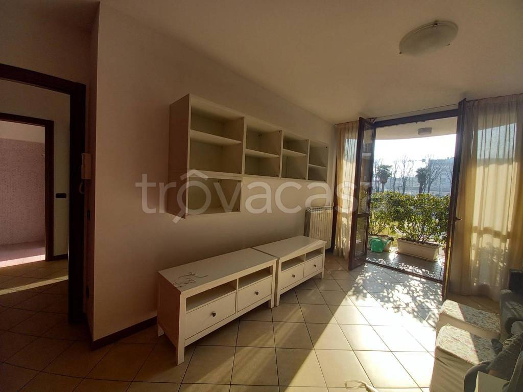 immagine annuncio 2 di 12