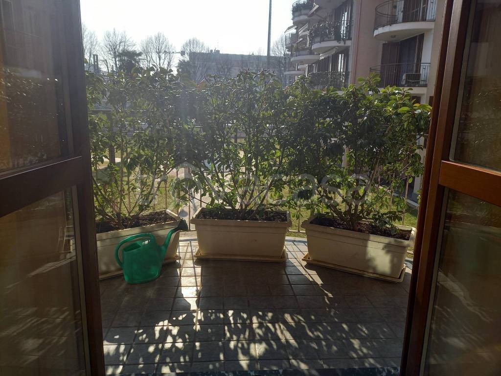 immagine annuncio 3 di 12