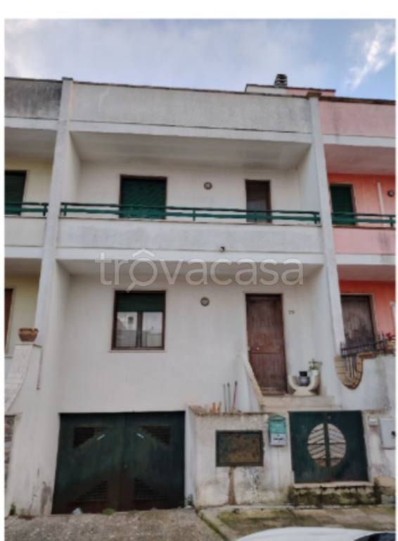 immagine annuncio 2 di 12