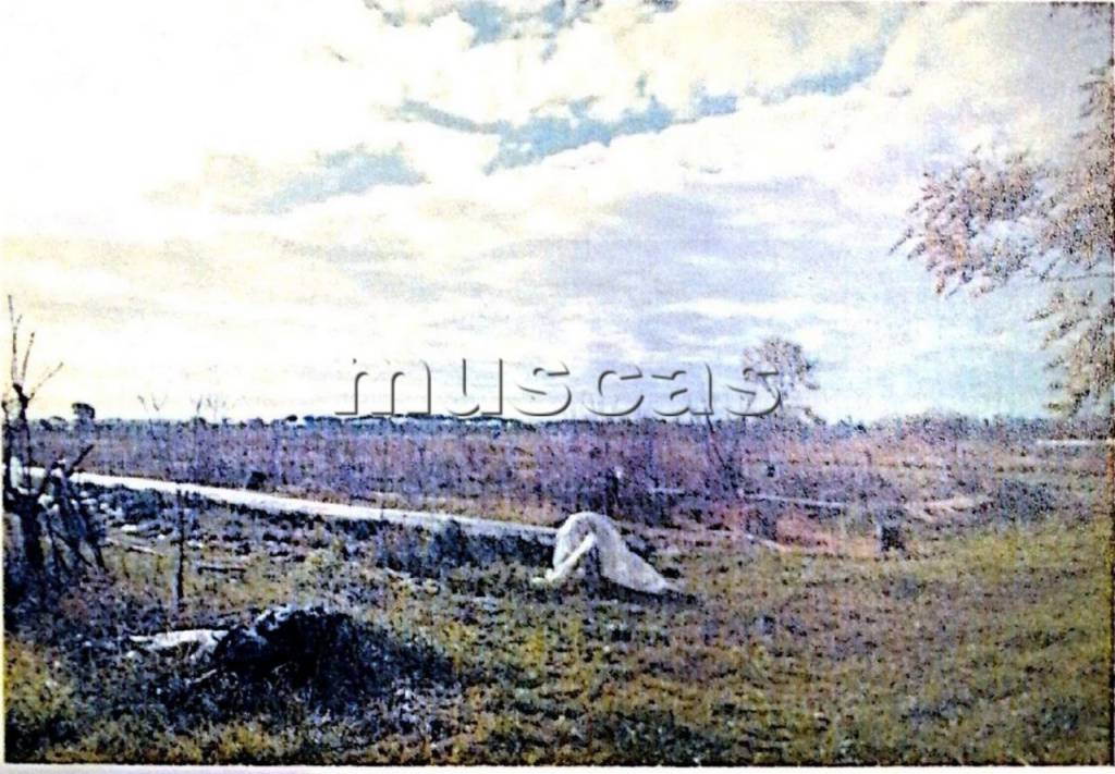 immagine annuncio 1 di 11