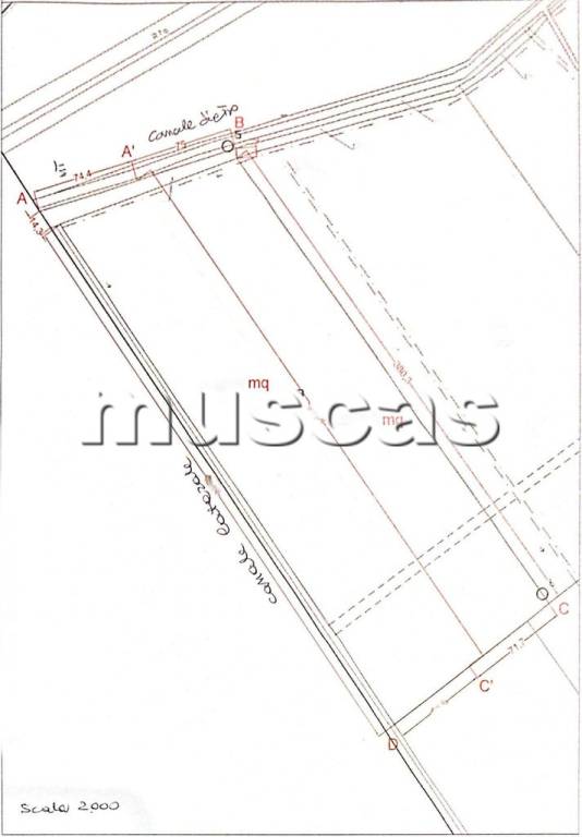 immagine annuncio 10 di 11