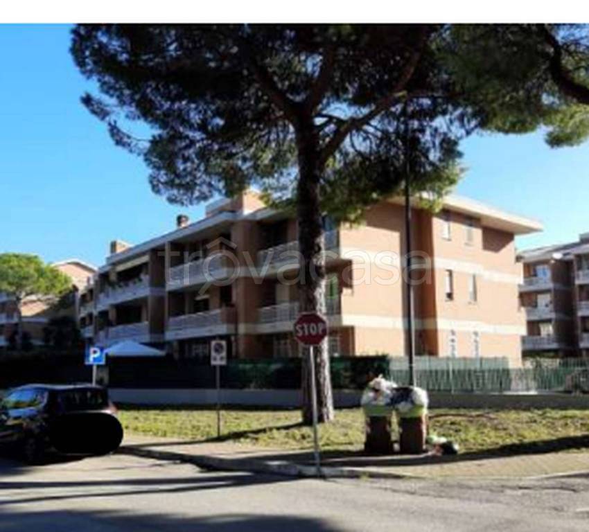 immagine annuncio 11 di 12