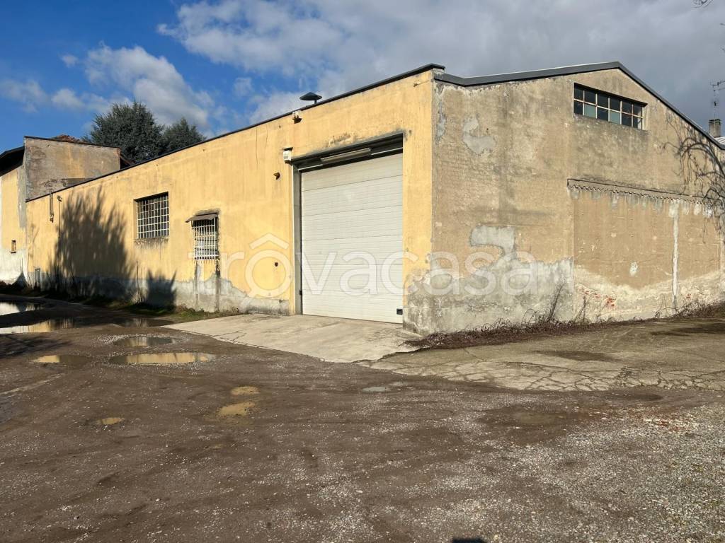 immagine annuncio 8 di 15