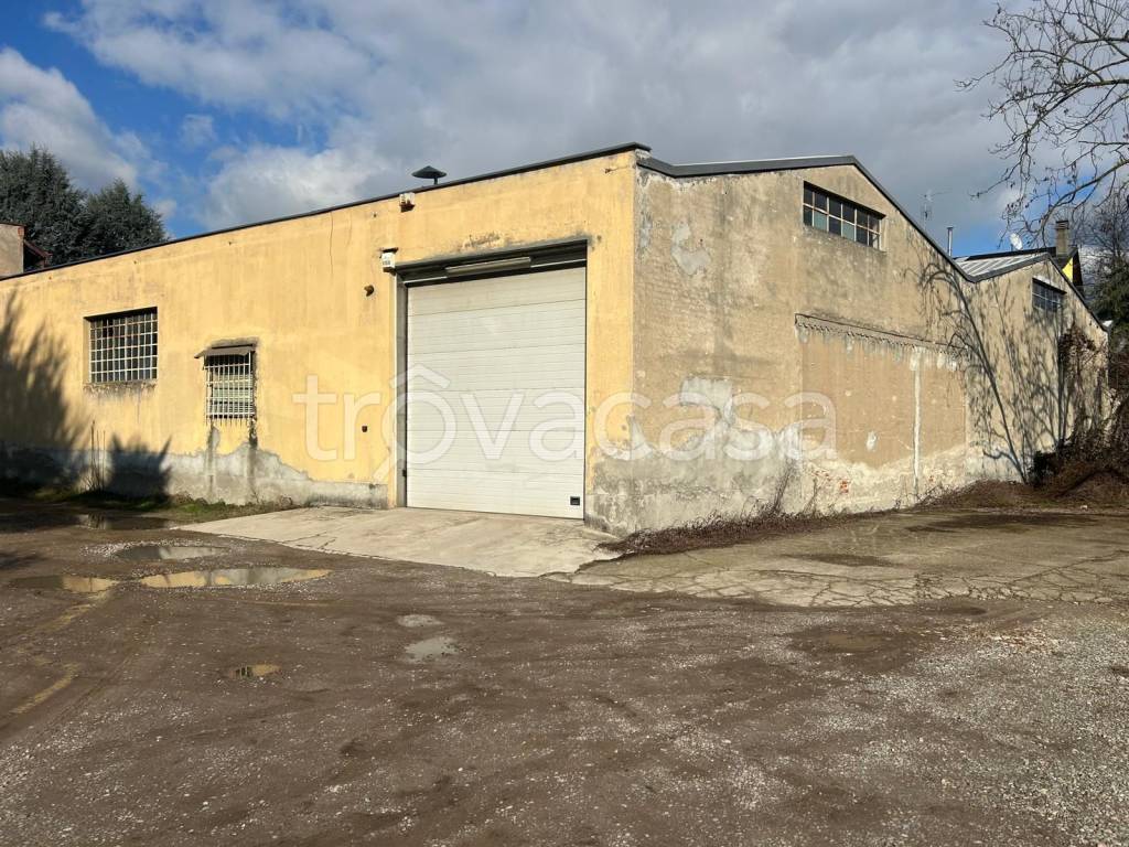 immagine annuncio 9 di 15