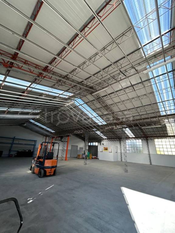 immagine annuncio 12 di 15