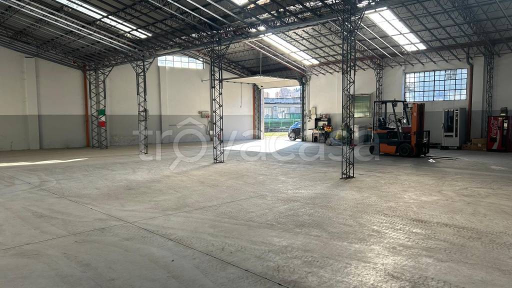 immagine annuncio 7 di 15