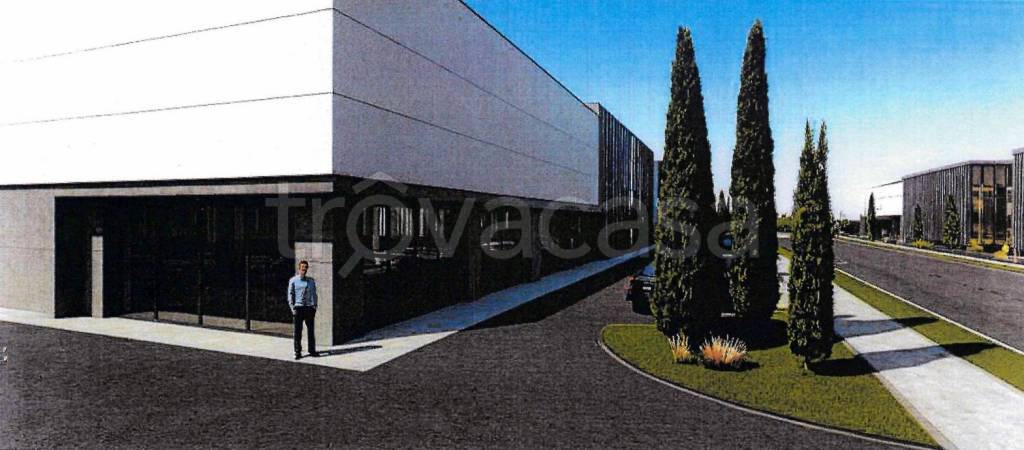 immagine annuncio 1 di 4