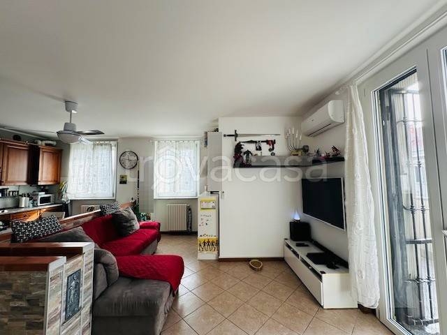 immagine annuncio 7 di 13