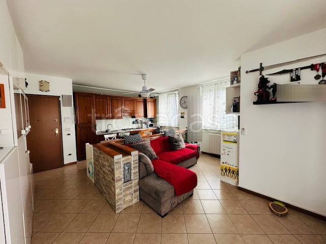 immagine annuncio 5 di 13