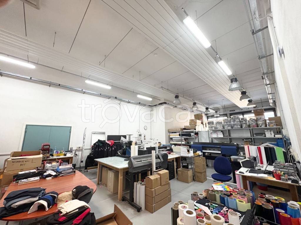 immagine annuncio 1 di 11