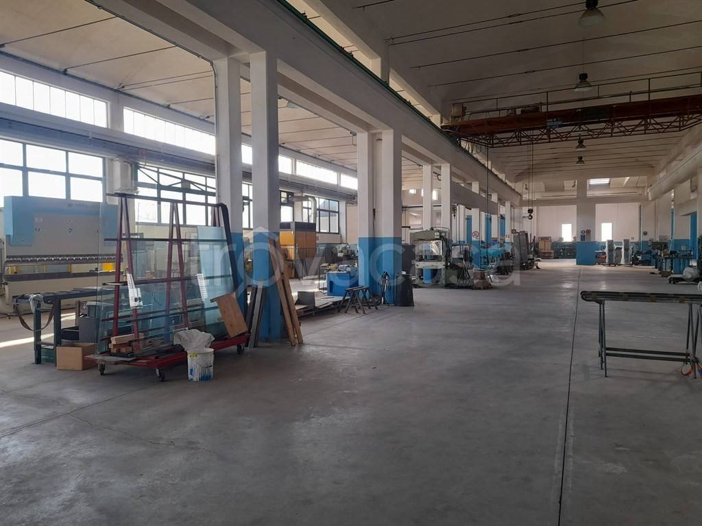 immagine annuncio 7 di 14