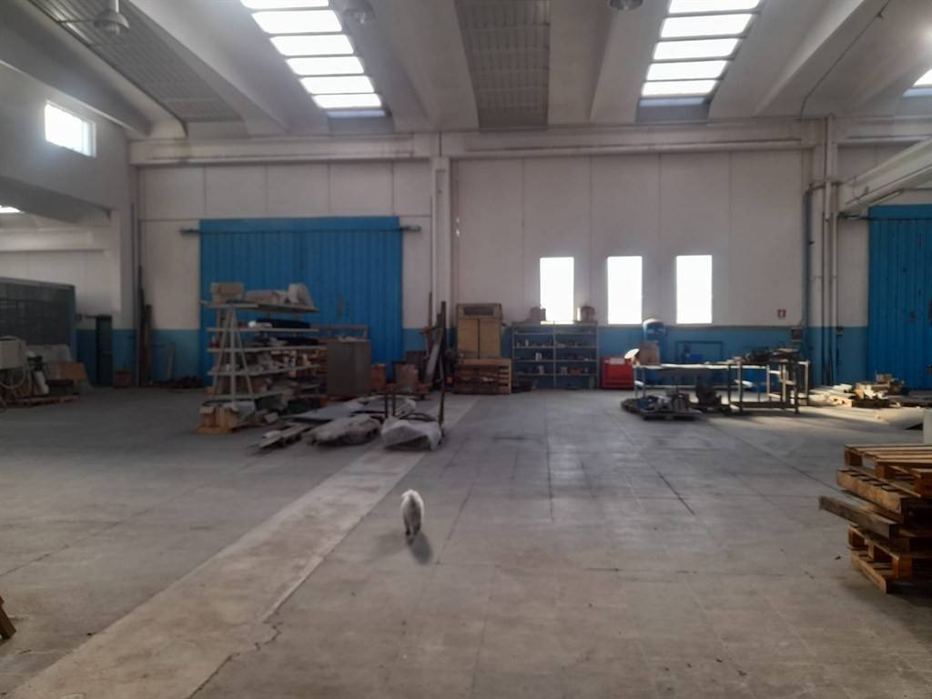 immagine annuncio 2 di 14