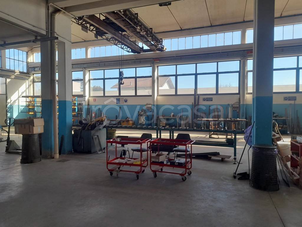 immagine annuncio 2 di 14