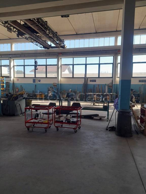 immagine annuncio 3 di 14