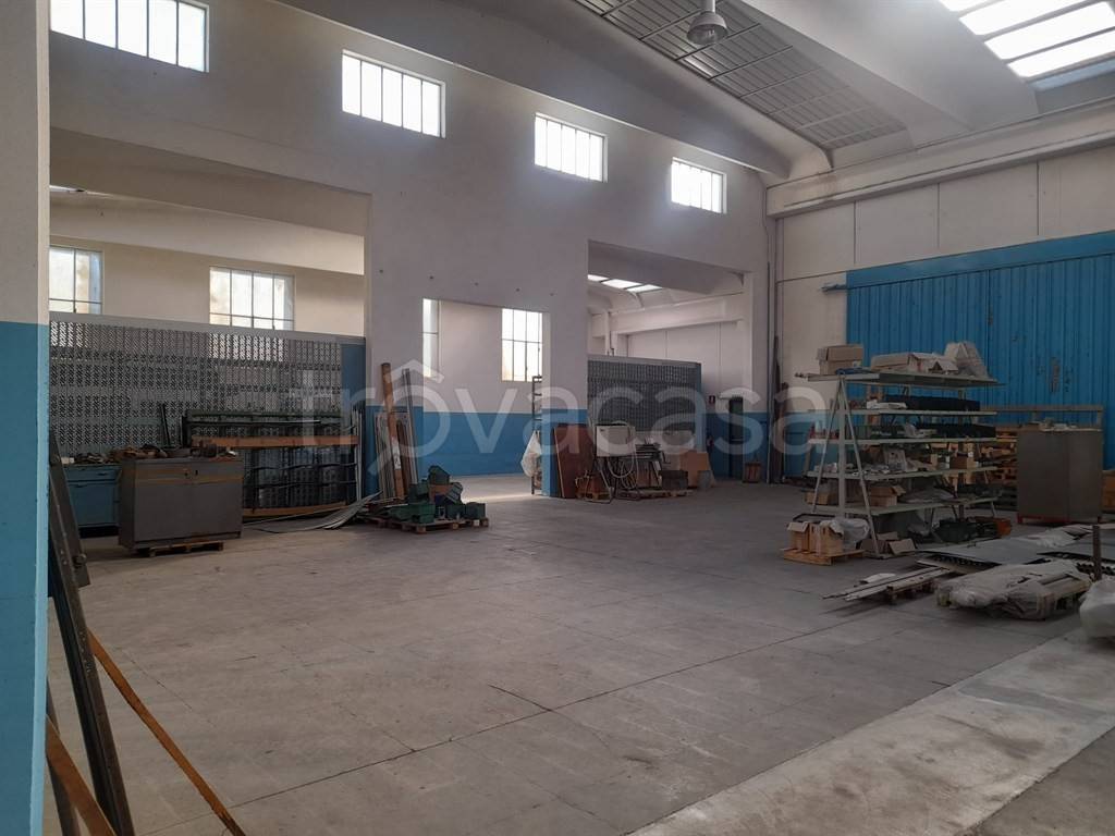 immagine annuncio 7 di 14