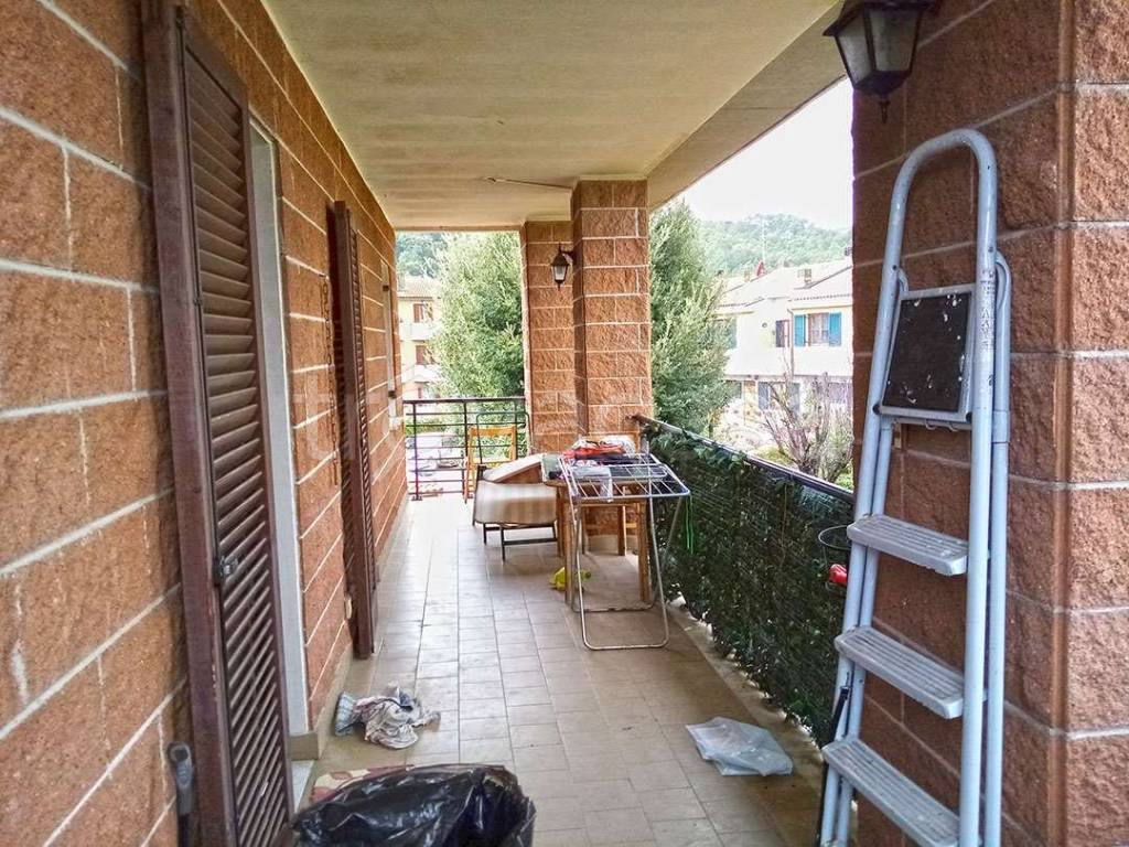 immagine annuncio 11 di 14