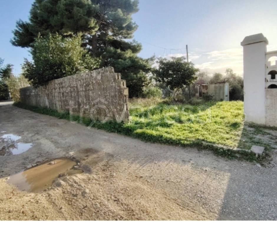 immagine annuncio 8 di 11