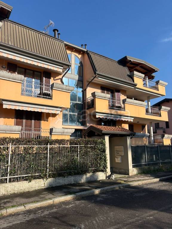 immagine annuncio 2 di 15