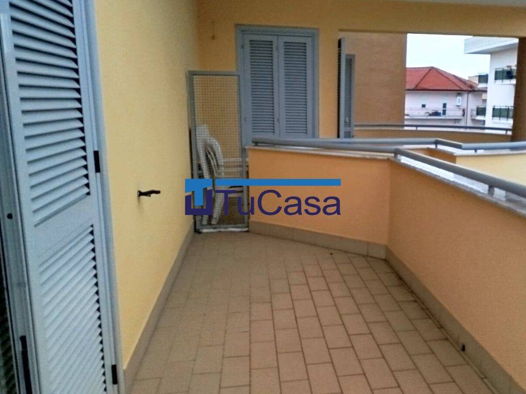 immagine annuncio 5 di 14