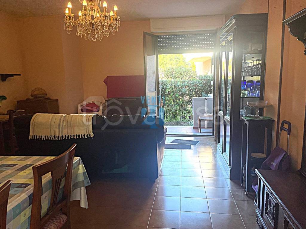 immagine annuncio 6 di 15