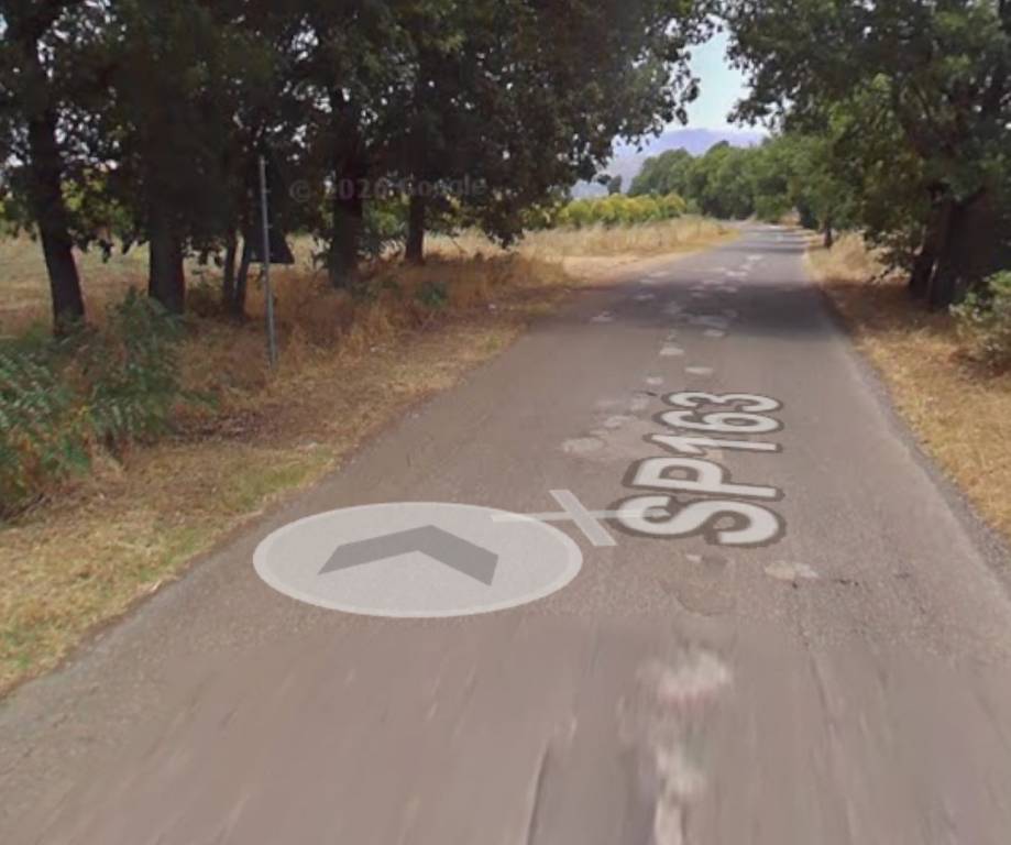 immagine annuncio 3 di 13