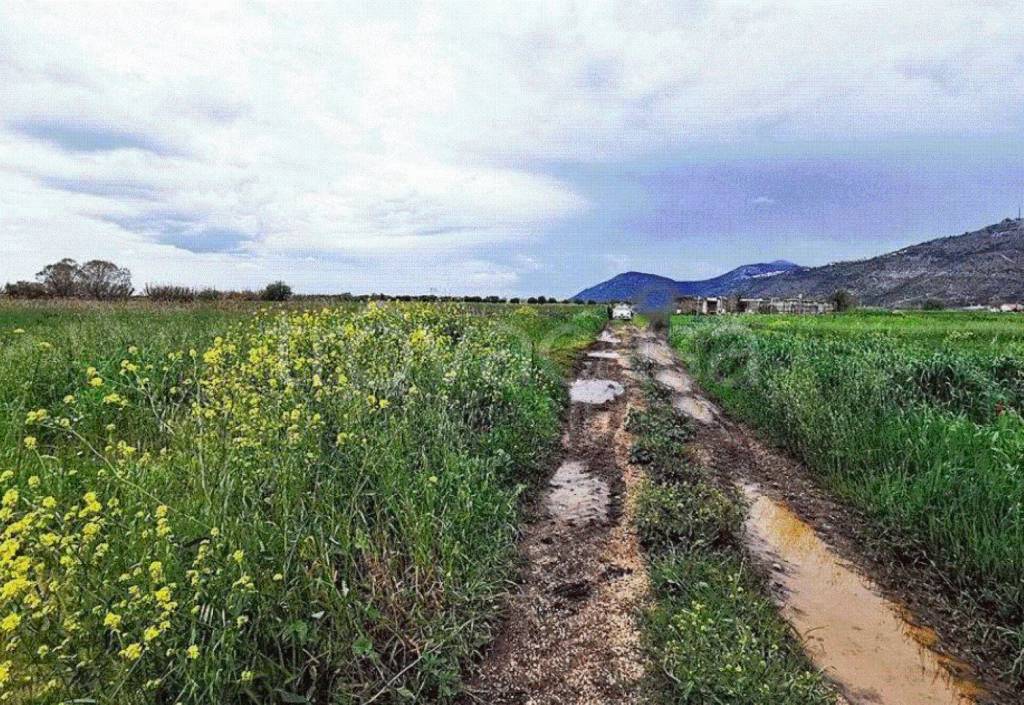 immagine annuncio 3 di 8