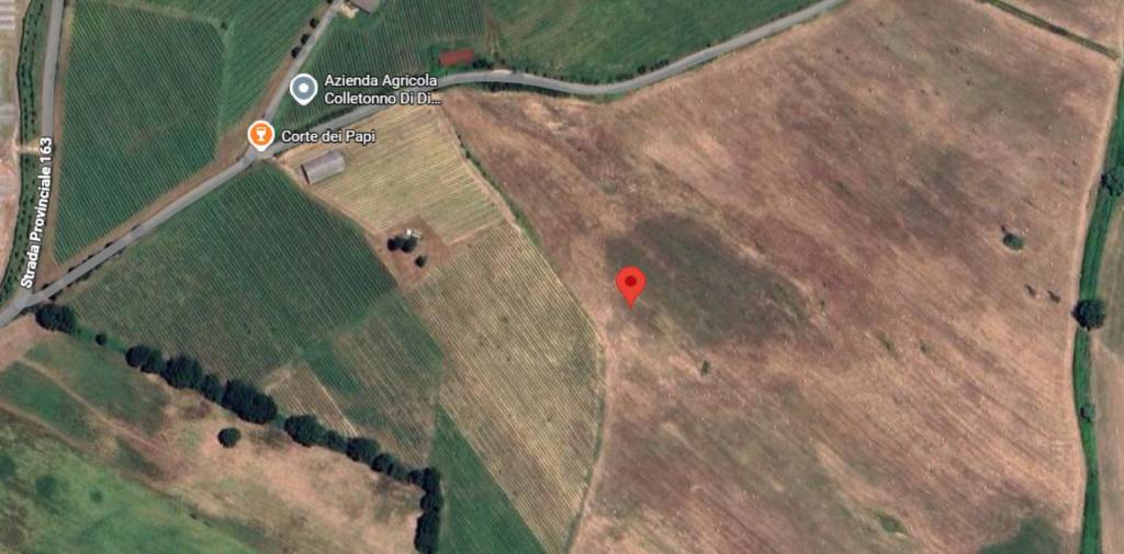 immagine annuncio 6 di 13