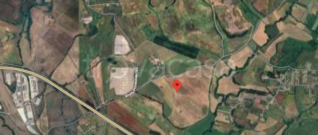 immagine annuncio 9 di 13