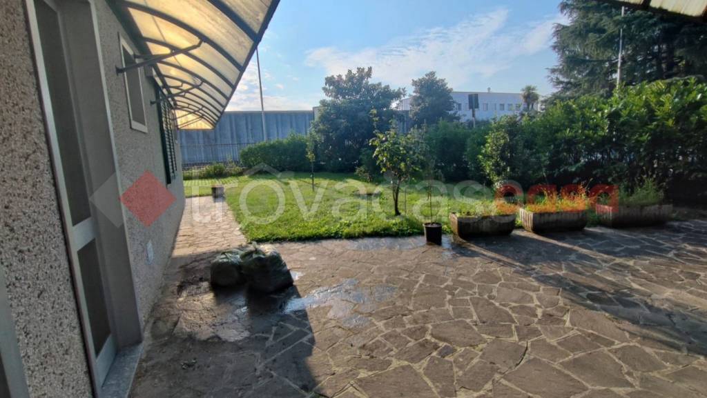 immagine annuncio 2 di 12