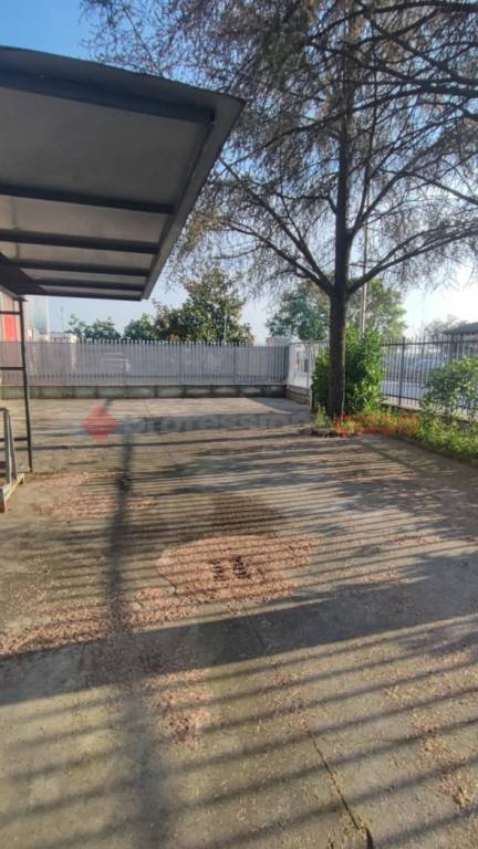 immagine annuncio 3 di 12