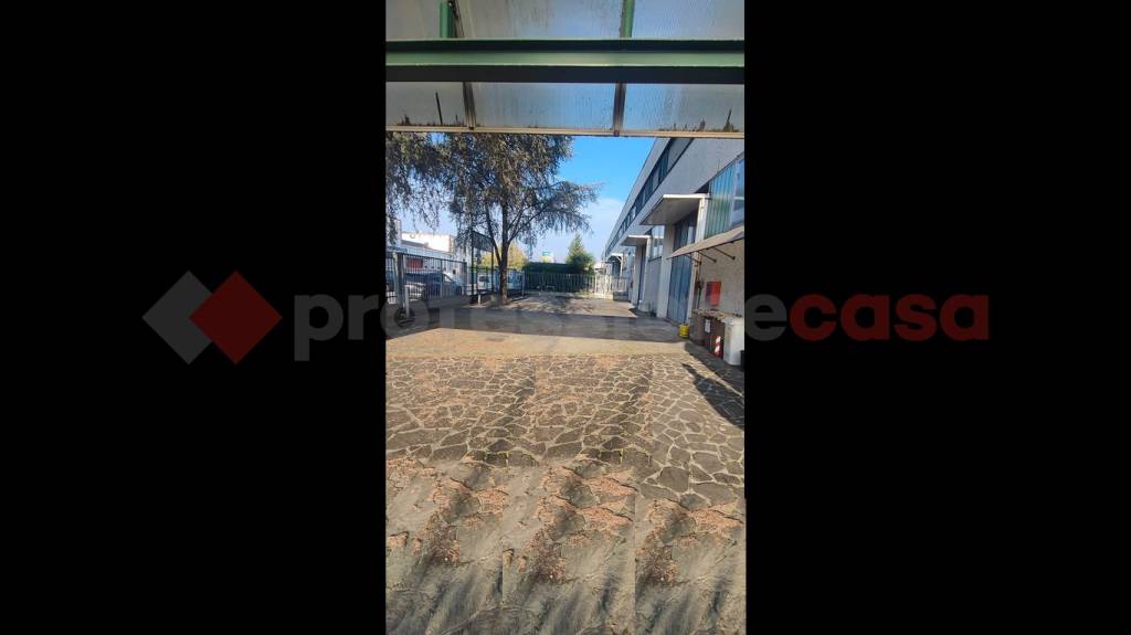 immagine annuncio 4 di 12