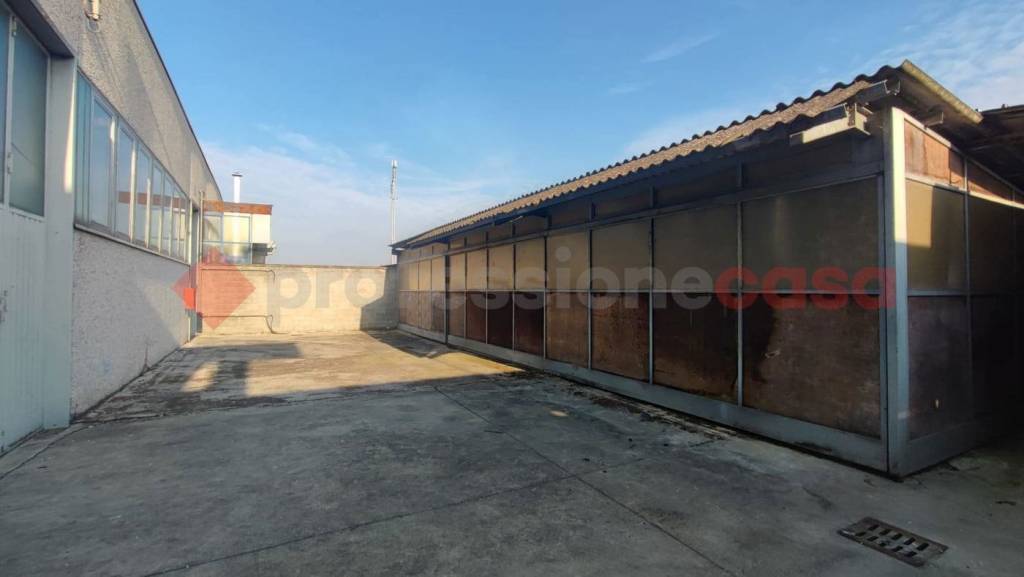 immagine annuncio 7 di 12