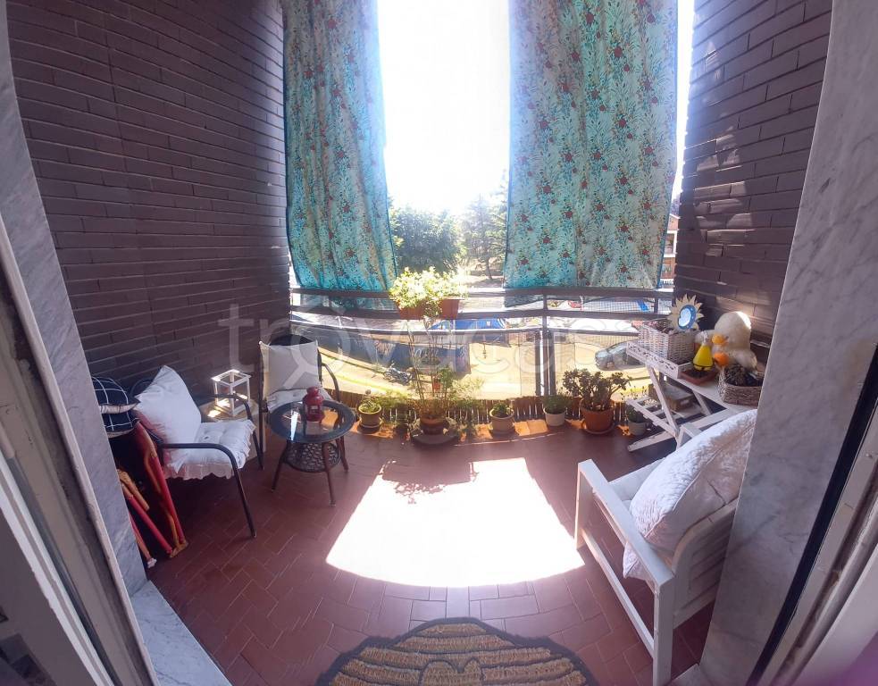 immagine annuncio 9 di 12