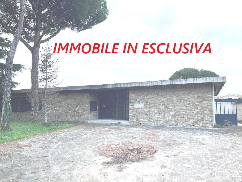 immagine annuncio 2 di 9