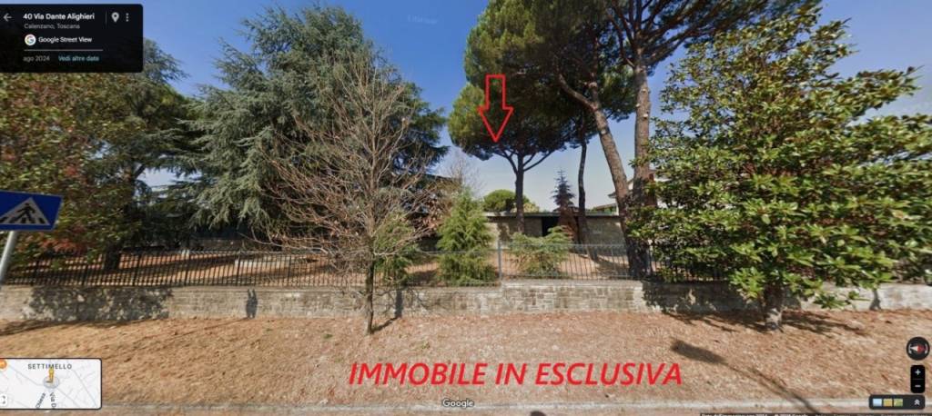 immagine annuncio 4 di 9