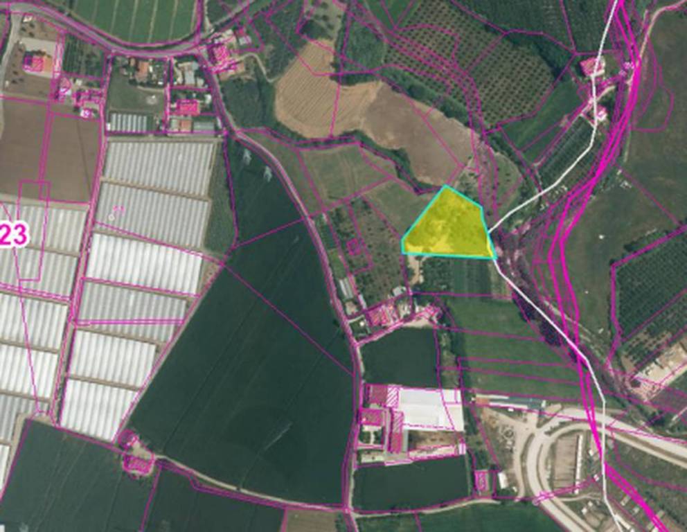 immagine annuncio 3 di 12