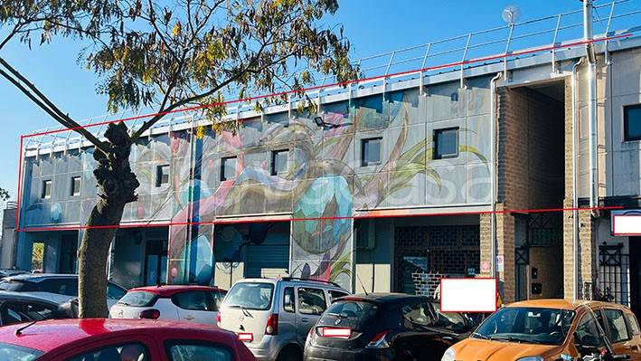 immagine annuncio 2 di 15